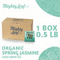 Mighty Leaf Tea Organic Spring Jasmine - 100 Pouches |  Green Tea