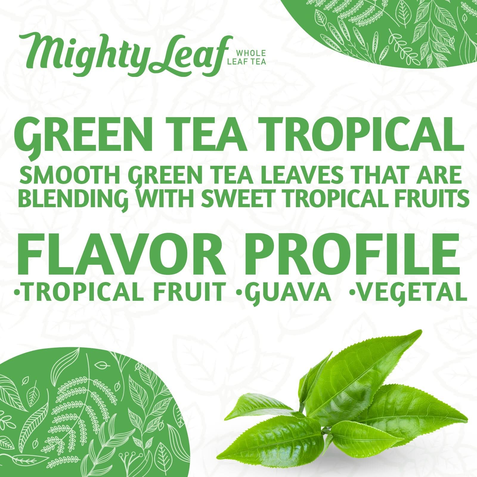 Mighty Leaf Green Tea Tropical - 100 Pouches | Refreshing Tropical Blend