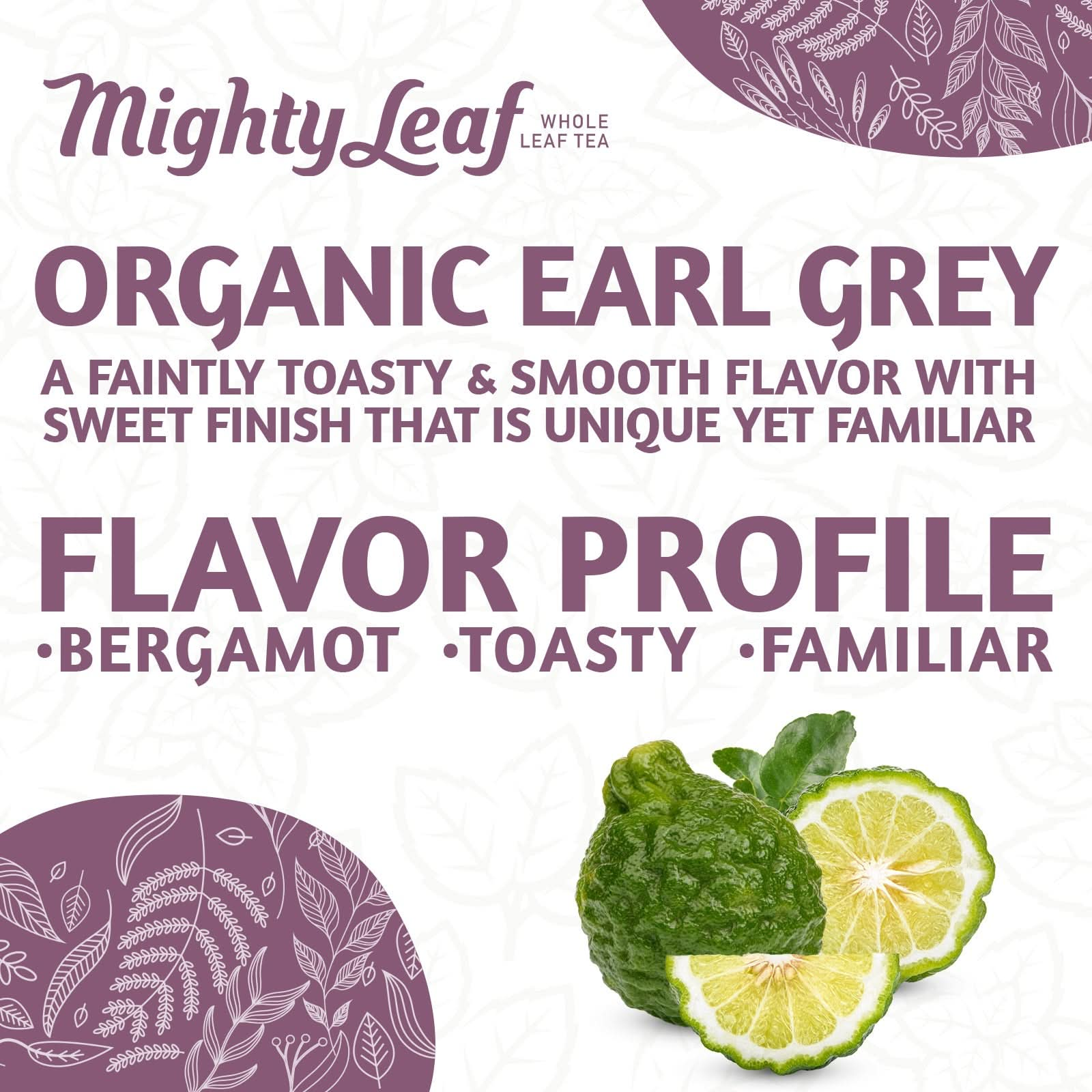 Mighty Leaf Earl Grey - 100 Pouches | Premium Black Tea with Bergamot