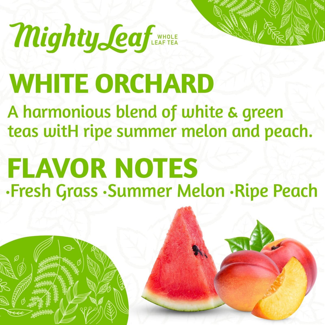 Mighty Leaf Tea White Orchard - 1000 Pouches | Delicate White Tea Blend