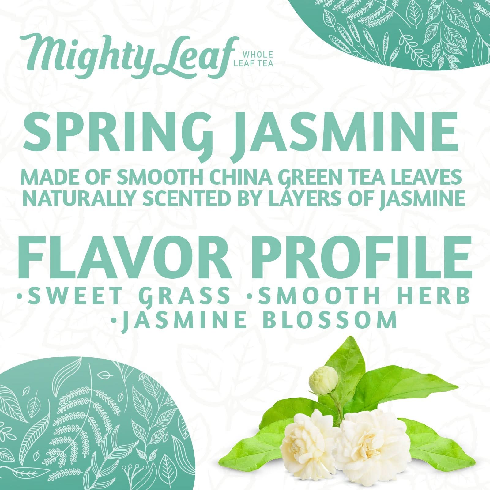 Mighty Leaf Tea Organic Spring Jasmine - 100 Pouches |  Green Tea