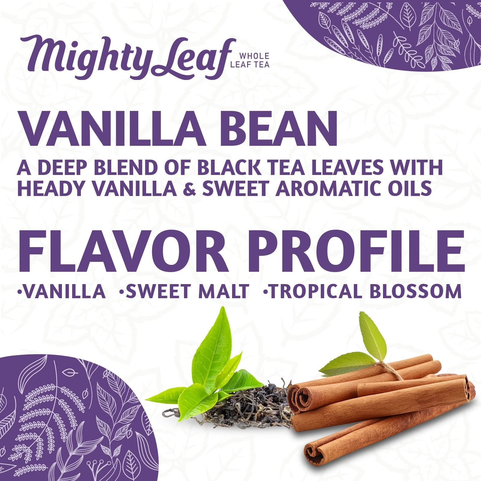 Mighty Leaf Tea Vanilla Bean - 100 Pouches | Smooth Black Tea & Vanilla