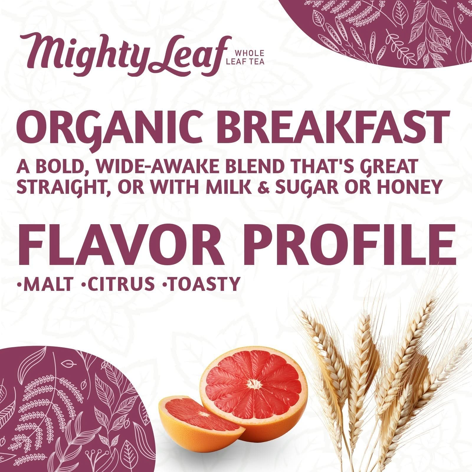 Mighty Leaf Tea Organic Breakfast - 100 Pouches | Bold Morning Blend