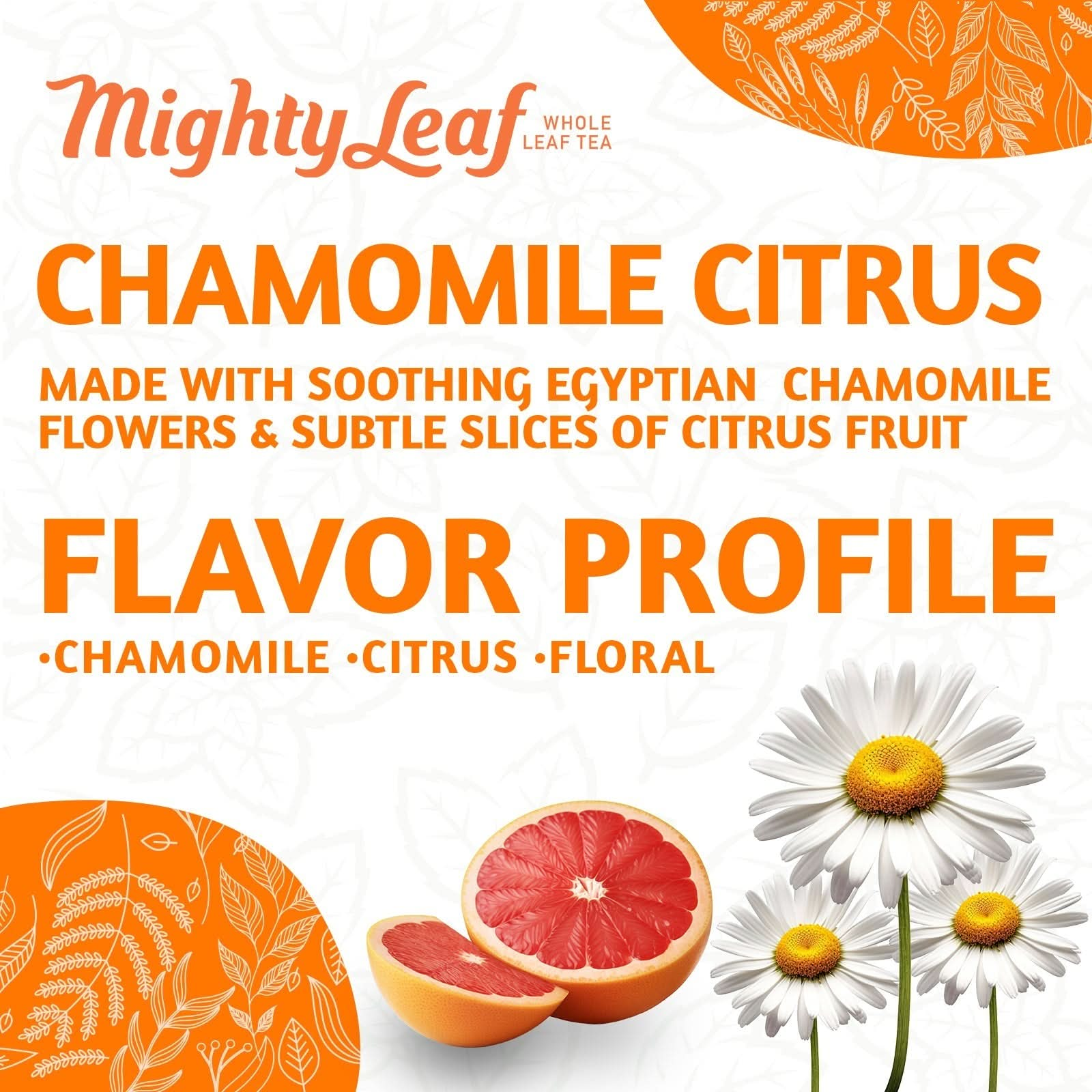 Mighty Leaf Chamomile Citrus - 100 Pouches | Soothing Chamomile & Citrus