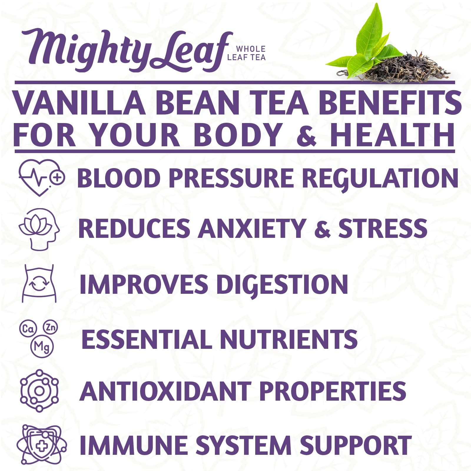 Mighty Leaf Tea Vanilla Bean - 100 Pouches | Smooth Black Tea & Vanilla