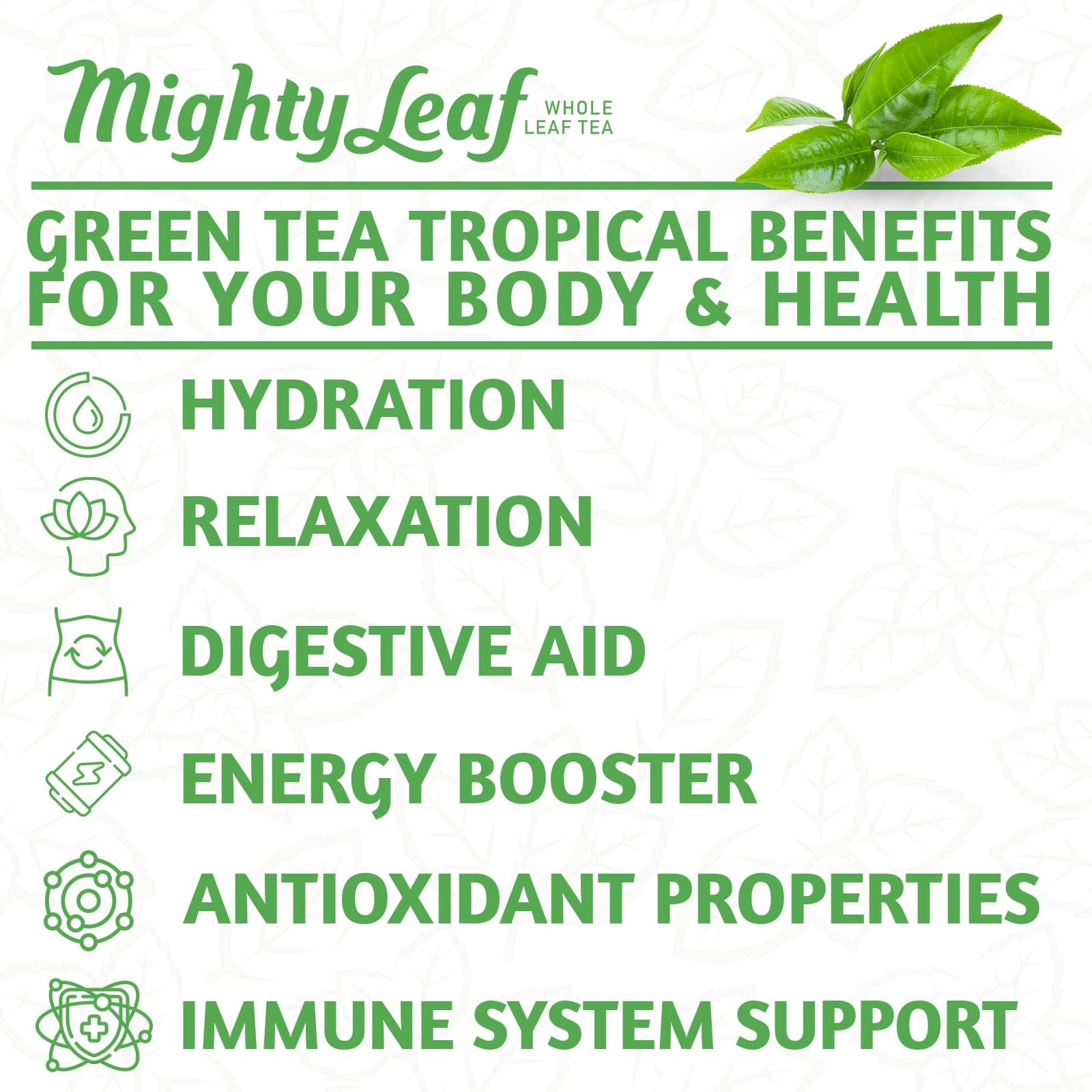 Mighty Leaf Green Tea Tropical - 45 Pouches | Refreshing Tropical Blend