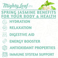 Mighty Leaf Tea Organic Spring Jasmine - 100 Pouches |  Green Tea