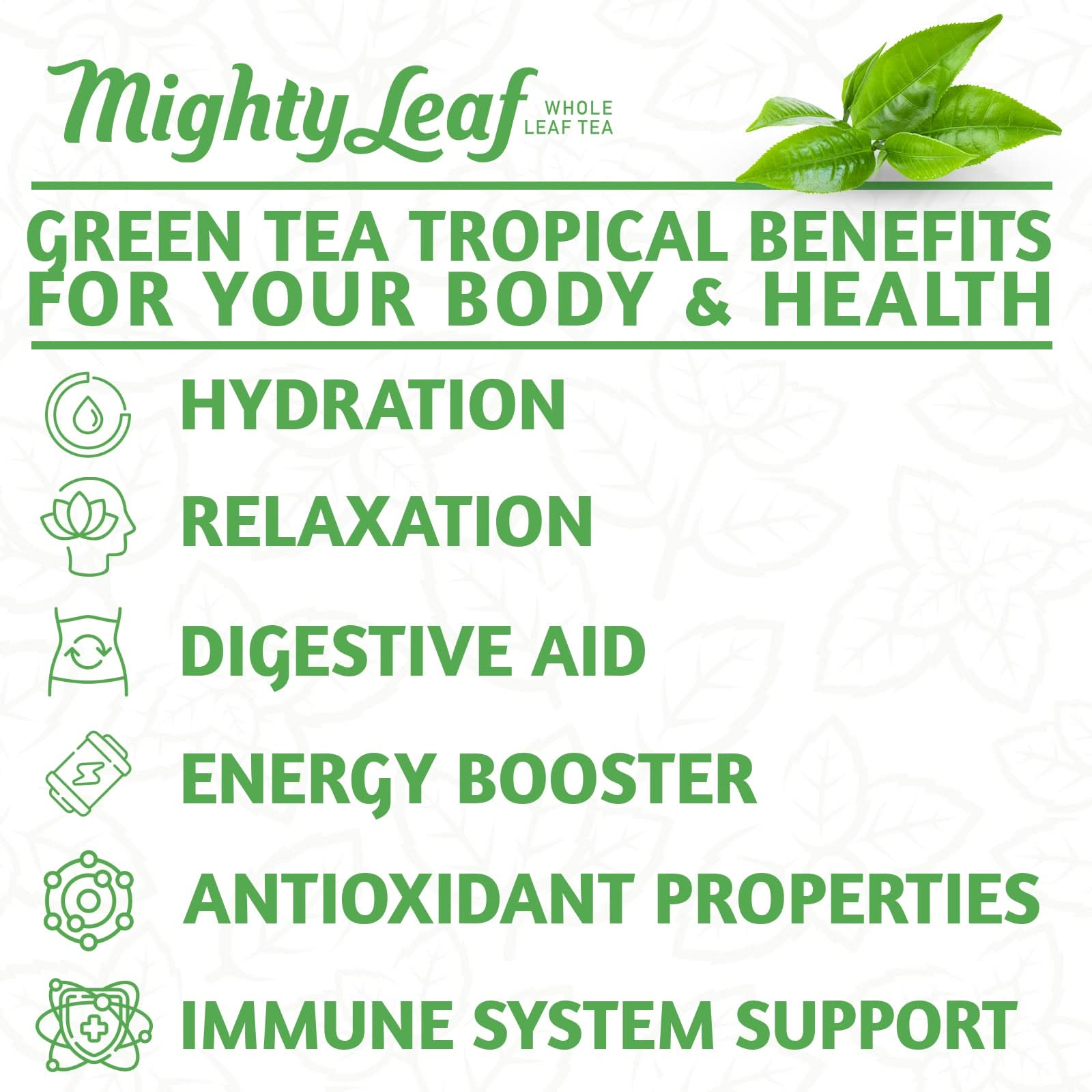 Mighty Leaf Green Tea Tropical - 100 Pouches | Refreshing Tropical Blend