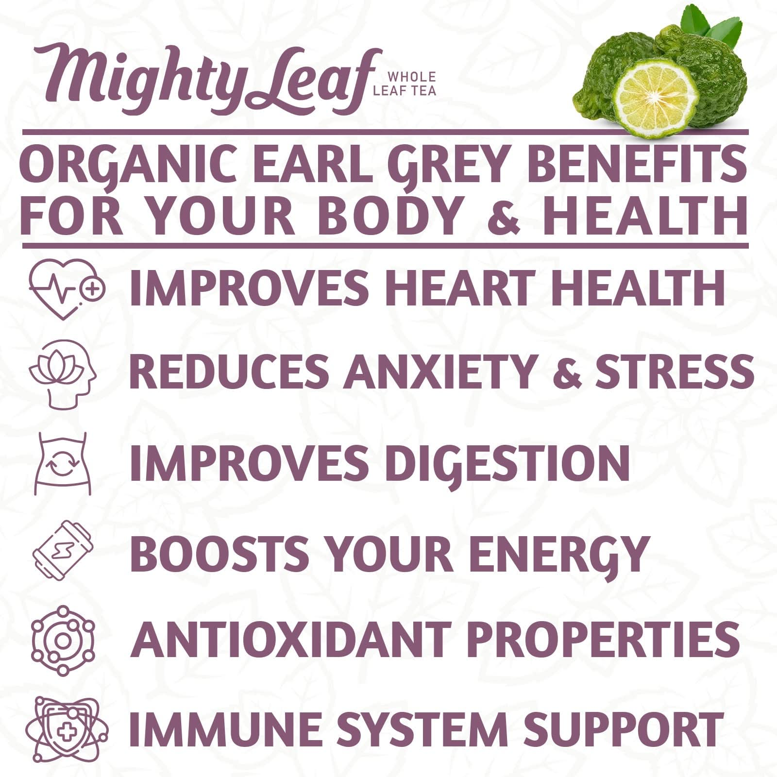 Mighty Leaf Earl Grey - 100 Pouches | Premium Black Tea with Bergamot