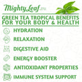 Mighty Leaf Green Tea Tropical - 1 LB Bag | Smooth & Fruity Green Tea 