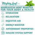 Mighty Leaf Tea - Marrakesh Mint 100 Pouches | Refreshing Green Tea & Mint