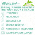 Mighty Leaf Tea Organic Spring Jasmine - 1 LB Loose Leaf | Green Tea 