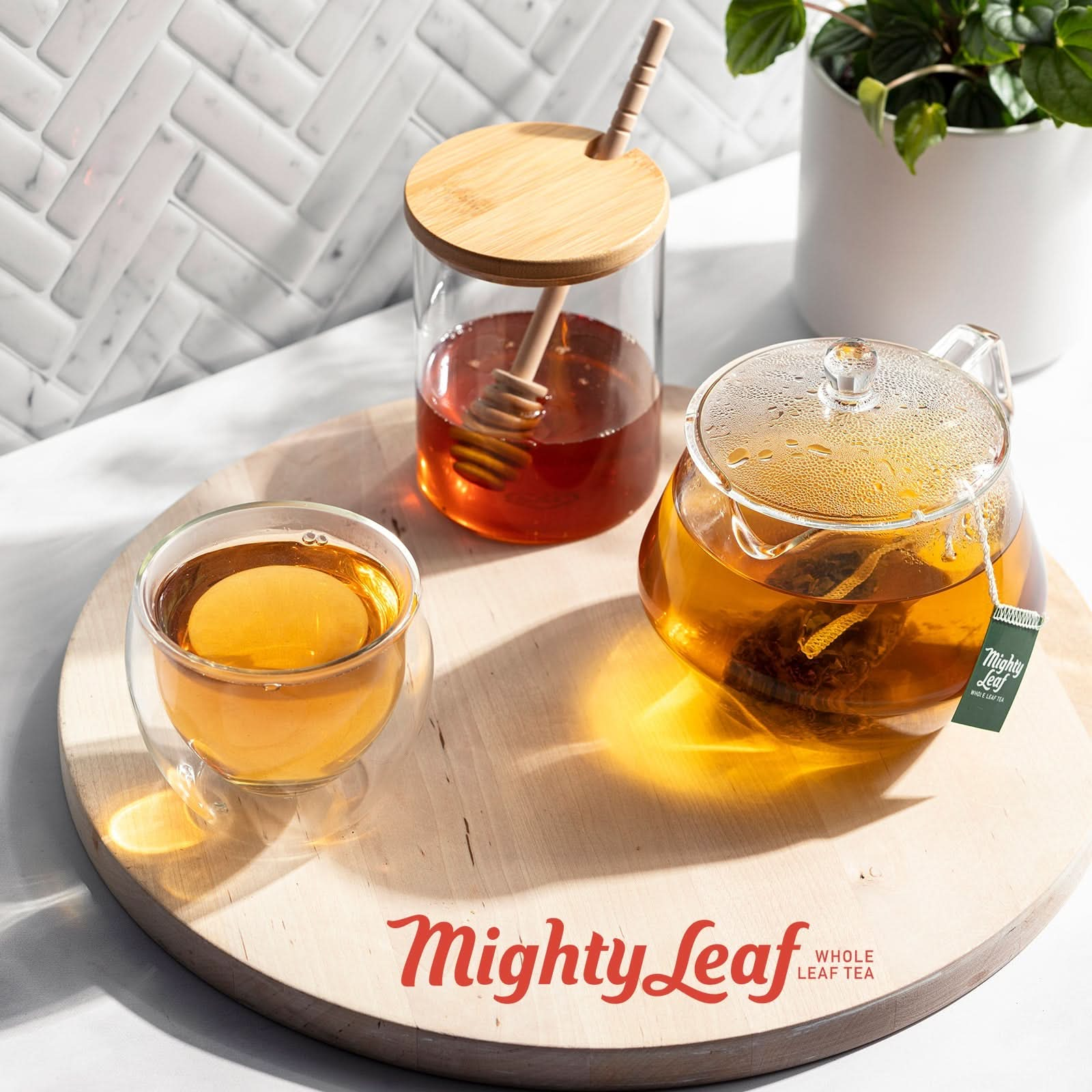 African Nectar Tea Mighty Leaf - 100  Tea Pouches | Caffeine-Free