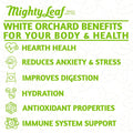 Mighty Leaf Tea White Orchard - 1000 Pouches | Delicate White Tea Blend