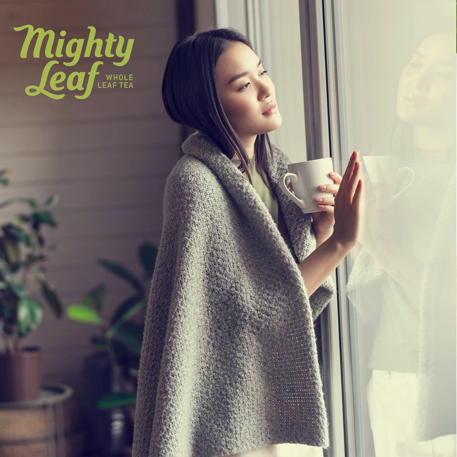 African Nectar Tea Mighty Leaf - 100  Tea Pouches | Caffeine-Free