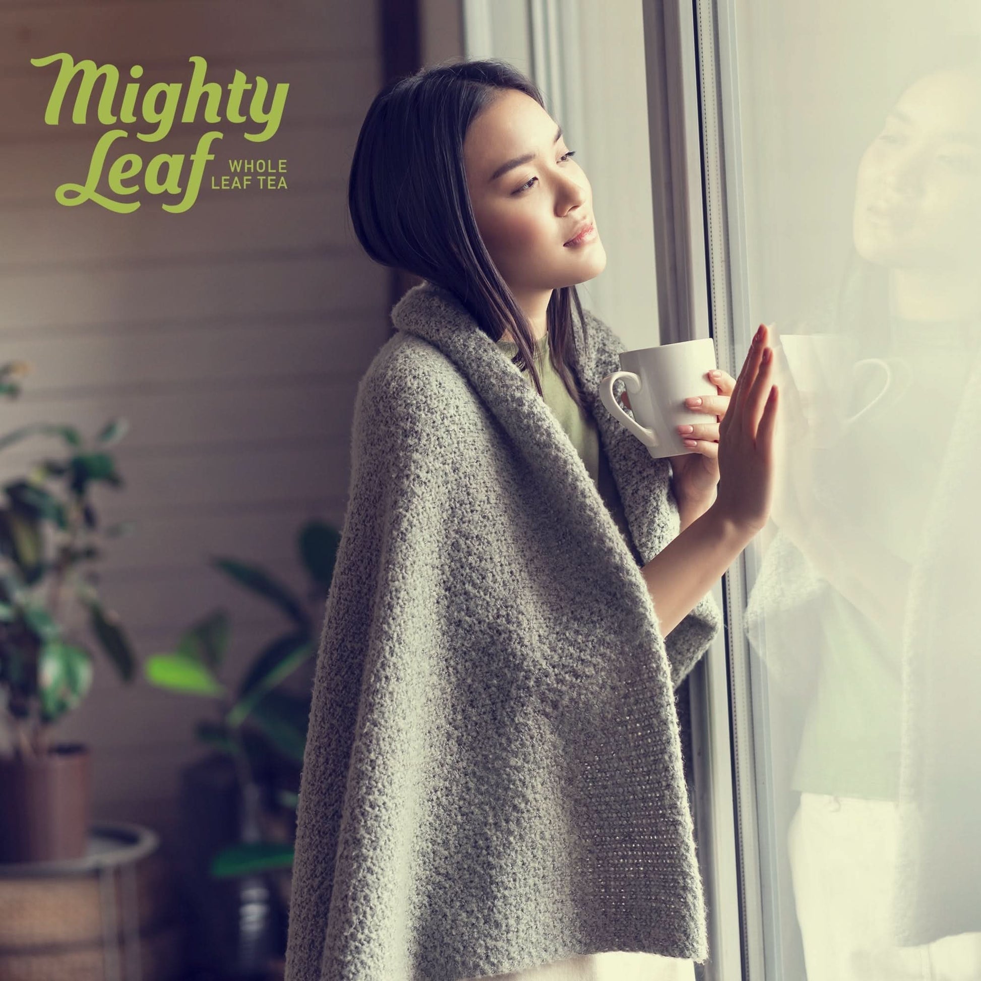 Mighty Leaf Tea - Marrakesh Mint 100 Pouches | Refreshing Green Tea & Mint