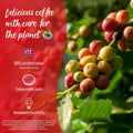 Senseo Decaf Coffee Pads - 80 Pads | Caffeine-Free & Flavorful Coffee 