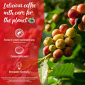 Senseo Classic Coffee Pads - 48 x 10 Pack | Smooth & Balanced Coffee  